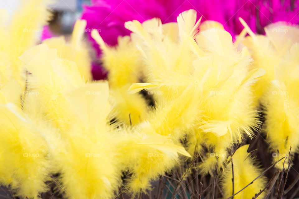 Yellow easter feathers.