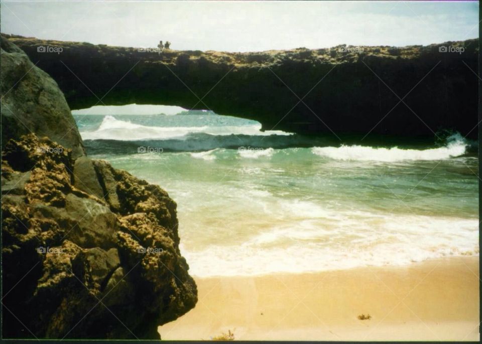 Bermuda rocky coast