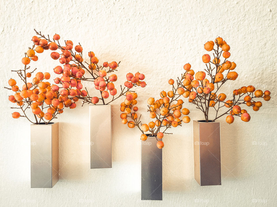 Still Life, No Person, Leaf, Wood, Flower