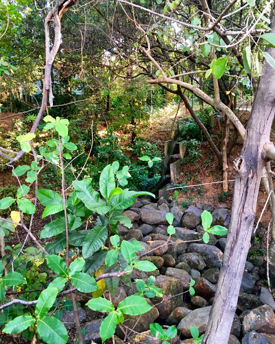 Natureza verdejante e a beleza estonteante. Rimou! Brincadeiras à parte, verde que te quero verde. 