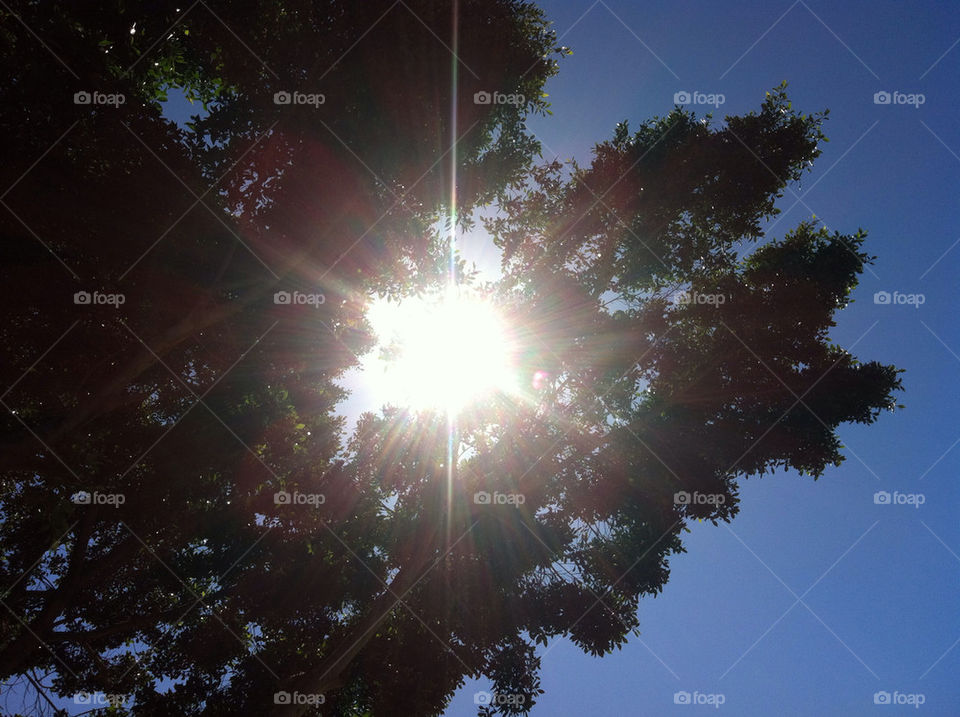 sky nature blue trees by blackpearl079