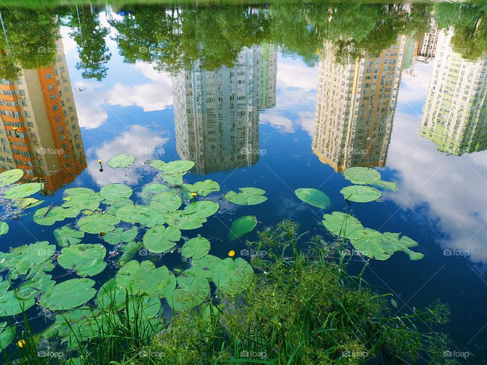 reflection of buildings in the lake