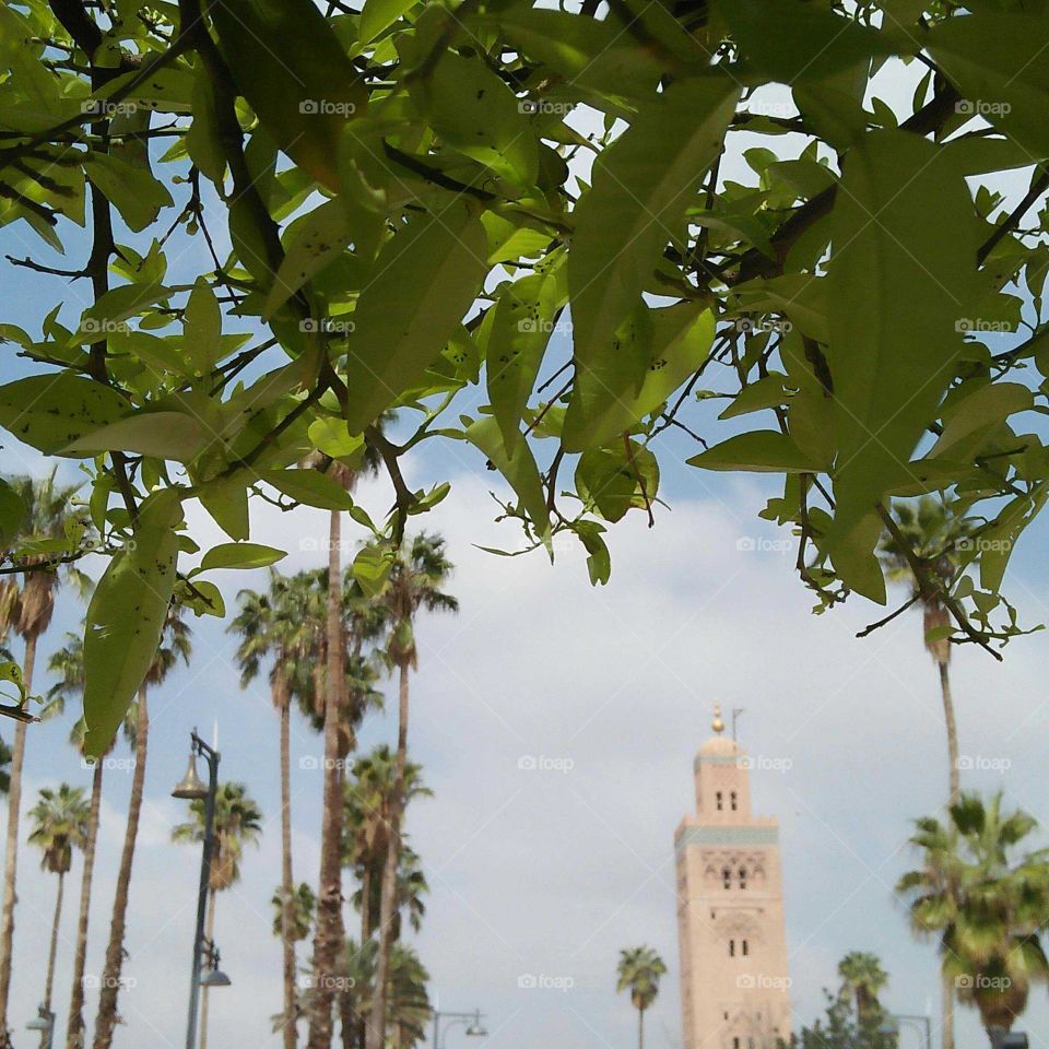 high tower mosque of Marrakesh city in Morocco.