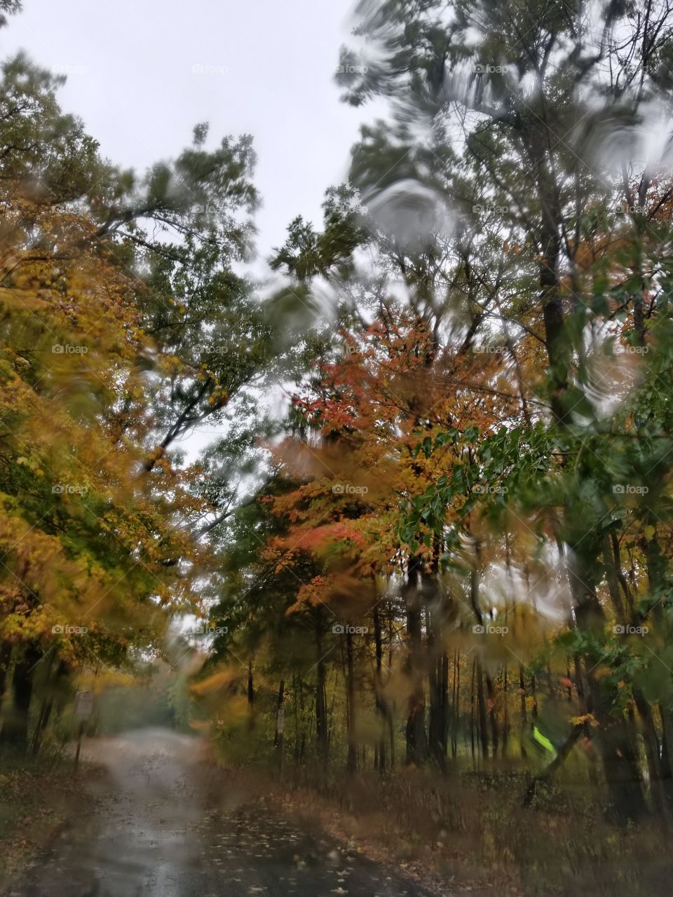 A Rainy Autumn Day Through A Raindrop Covered Windshield.