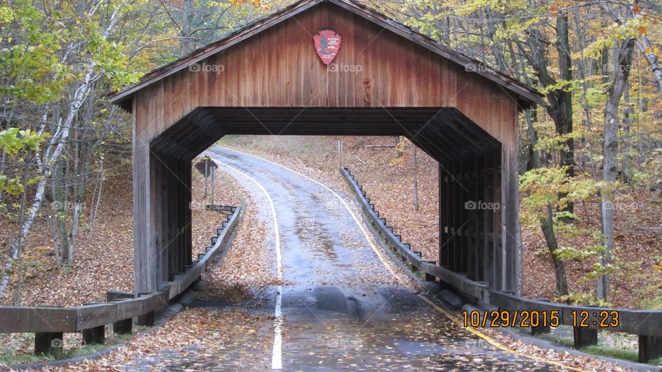 Northern Michigan 