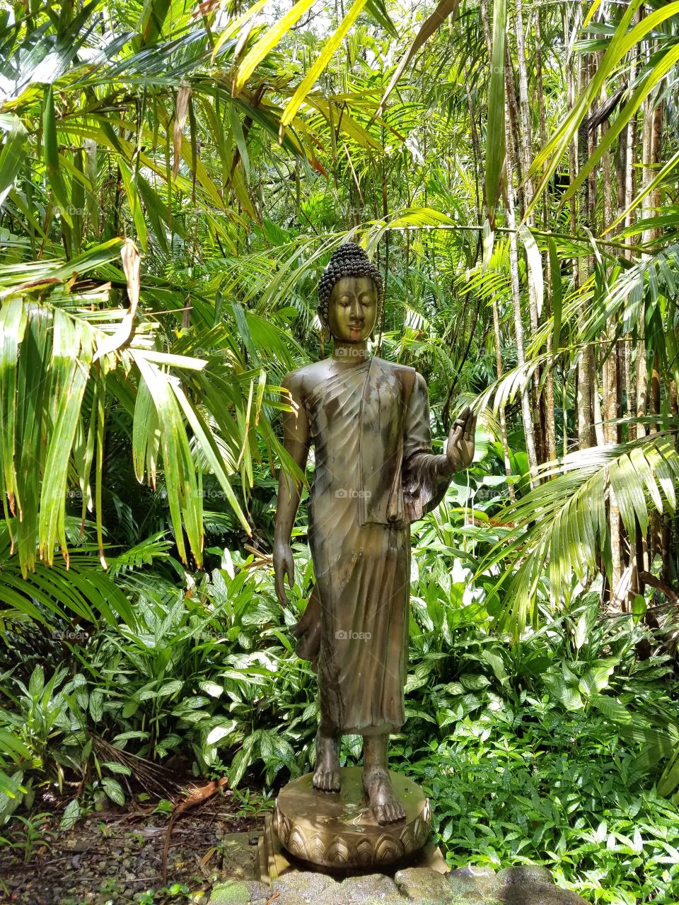 Buddha in the forest