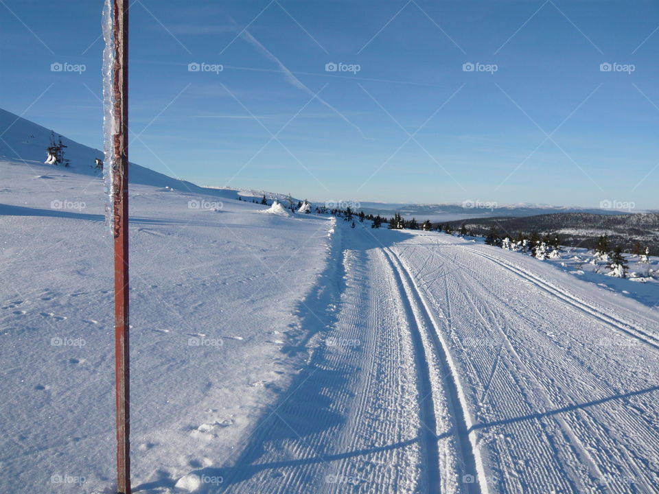 Skiing cross country