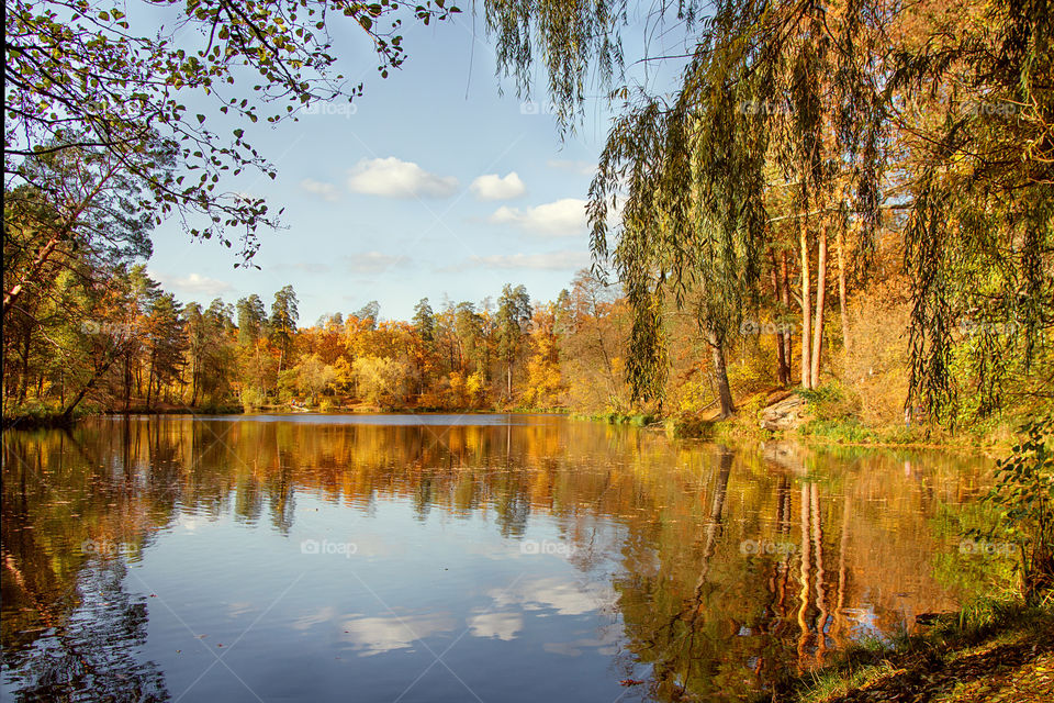 Autumn landscape 