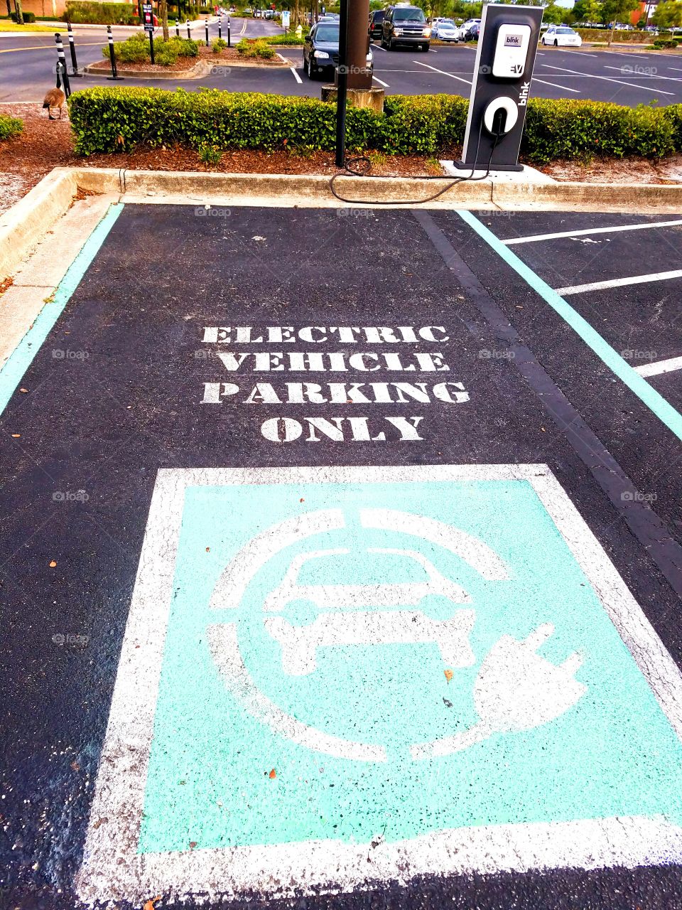 Electric car parking