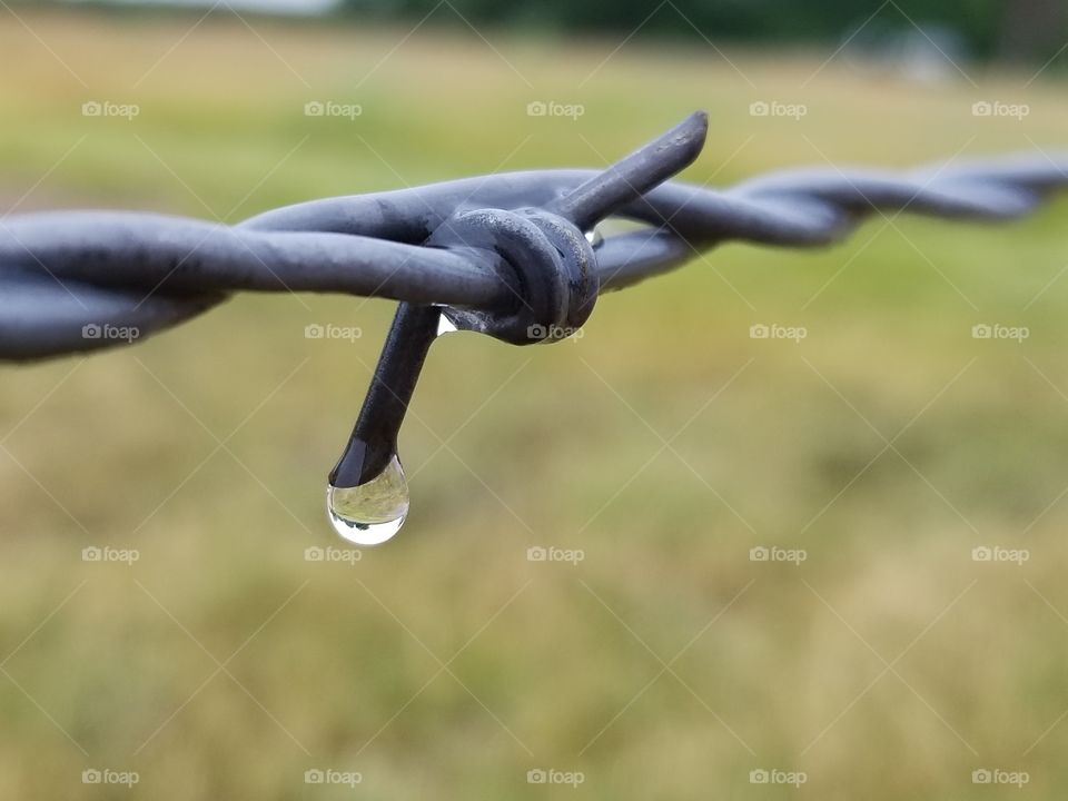 Rain on Wire