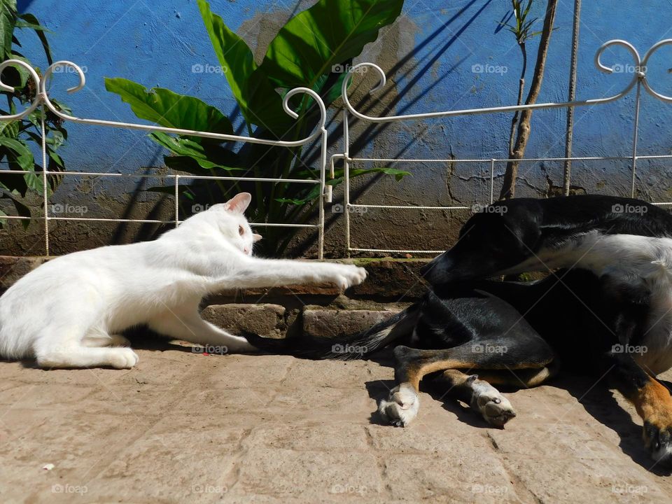 game afternoon // Nikon  Coolpix B500