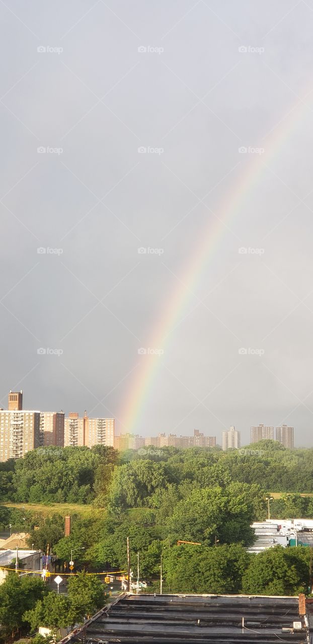 Rainbow 🌈