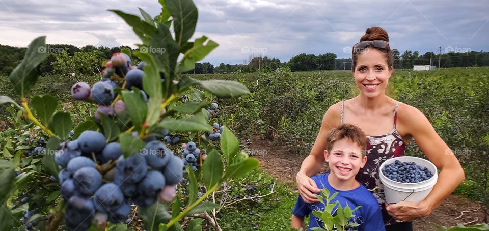 mother and son picking blueberries