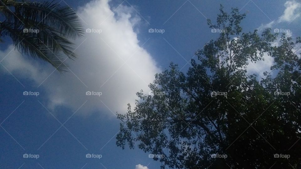 a beautiful cloudy sky on summer day.