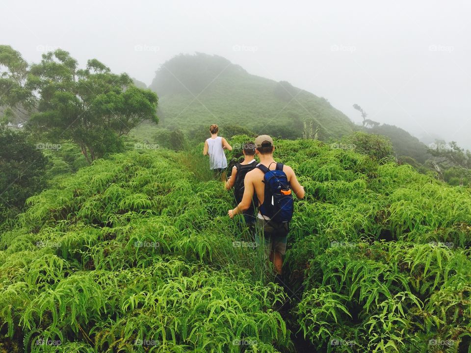 Hikers walking on lush mountain, Oahu, Hawaii