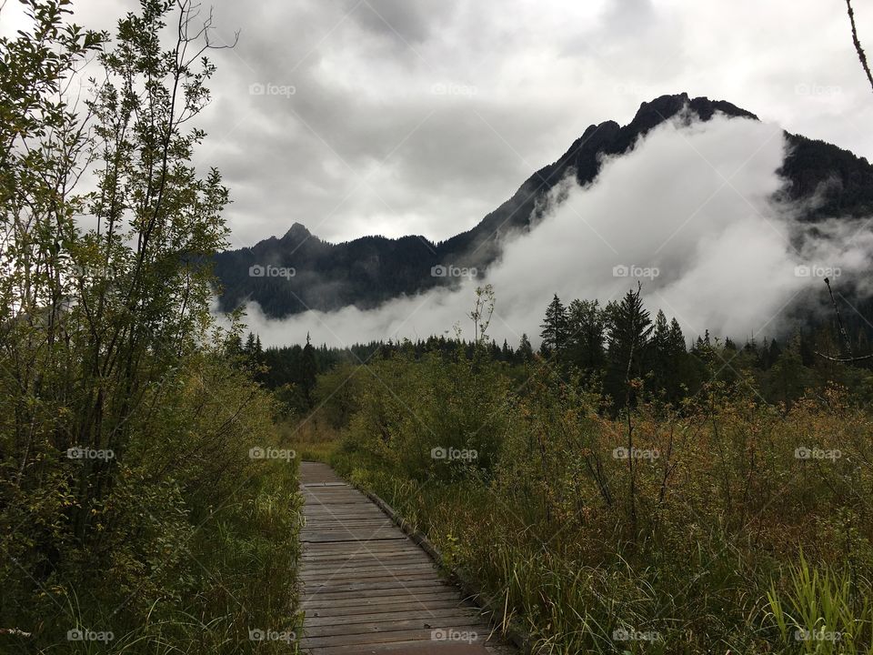 Boardwalk / Big Four Mountain, WA