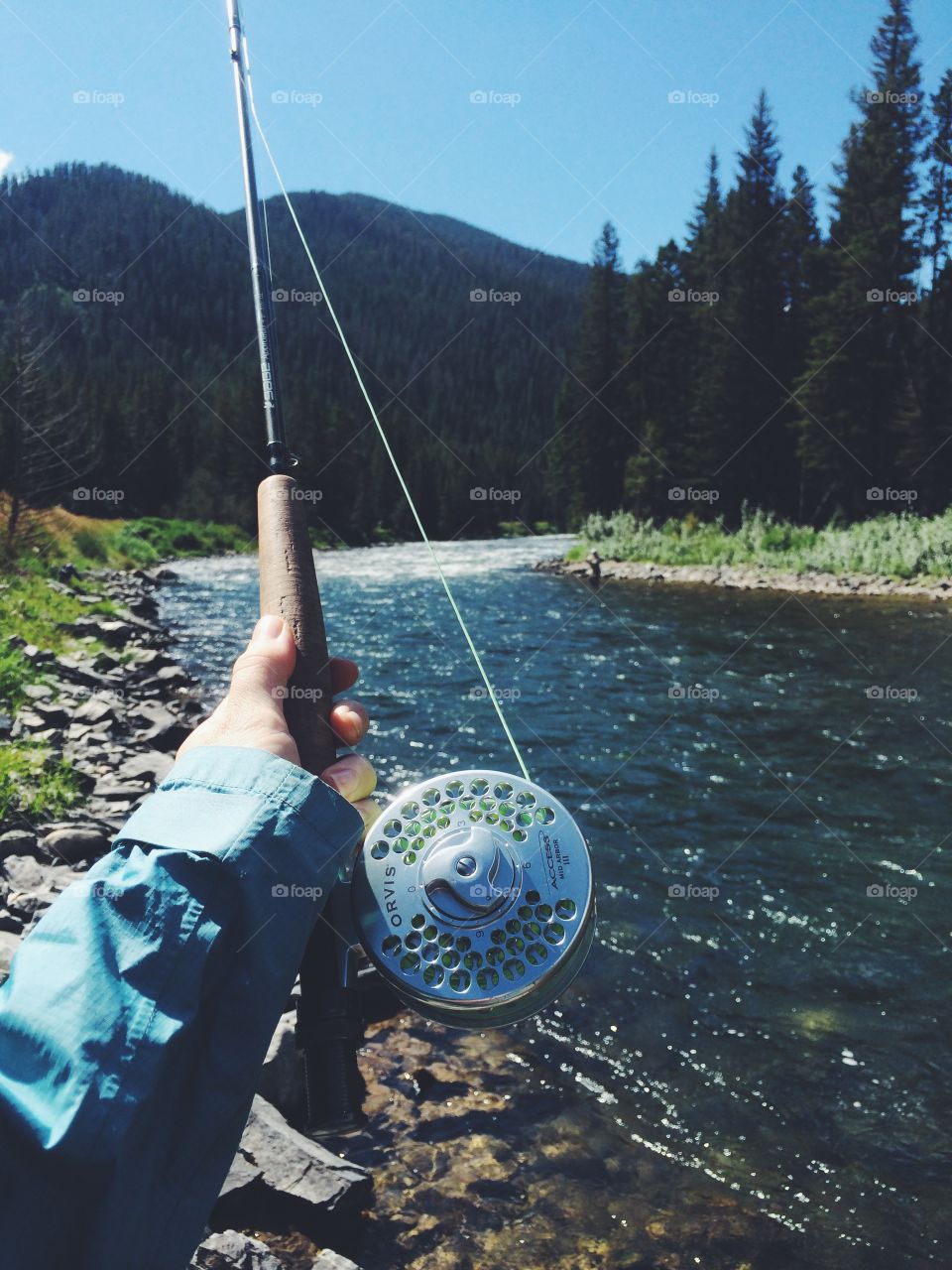 Fly Fishing on The Gallatin River . Summer time Fly Fishing on The Gallatin River 