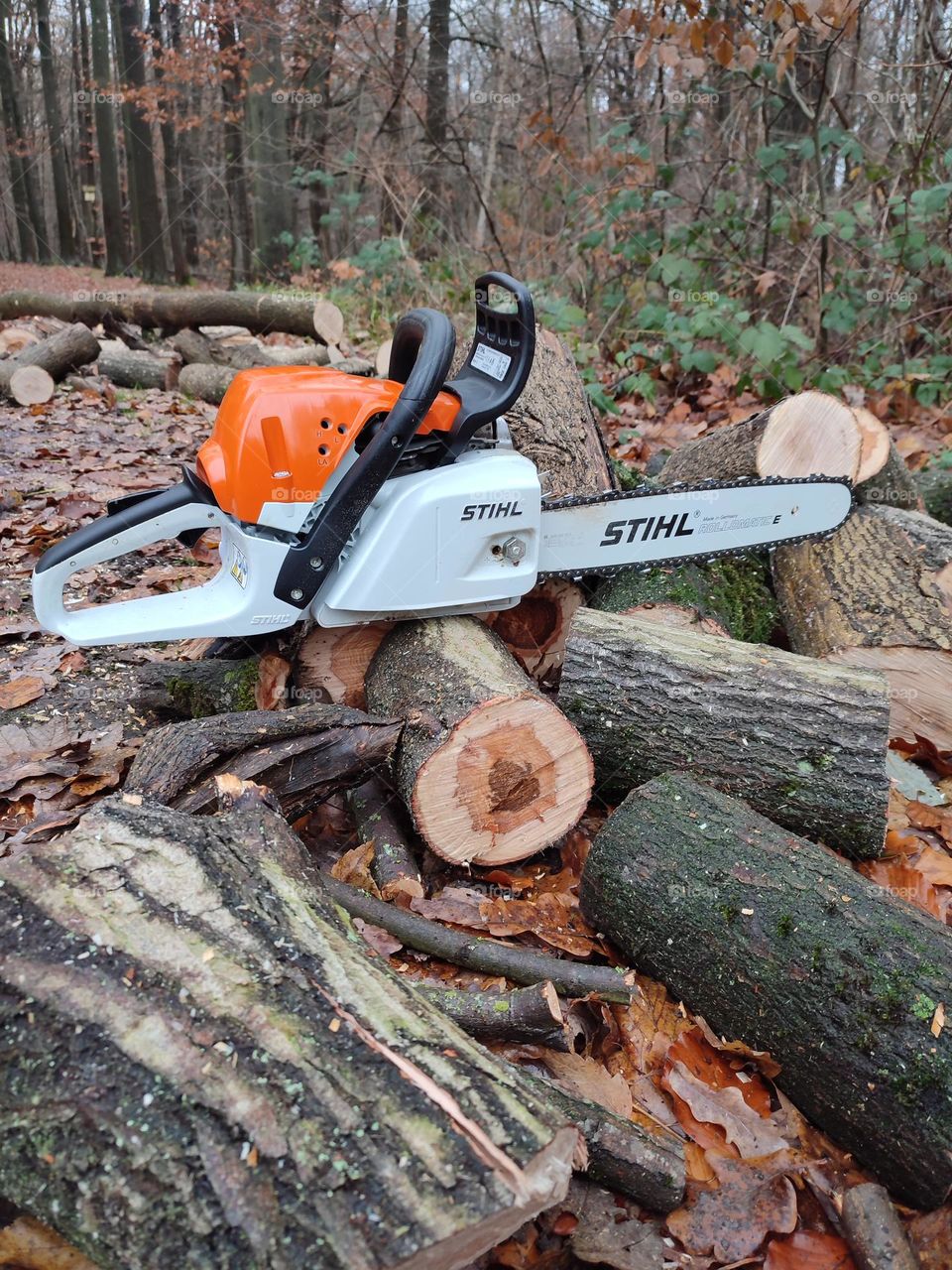 Chainsaw, sthil, MS, slightly heavy, white, orange, tree cutting, branches, heating, chain, sthil oil, sthil gasoline