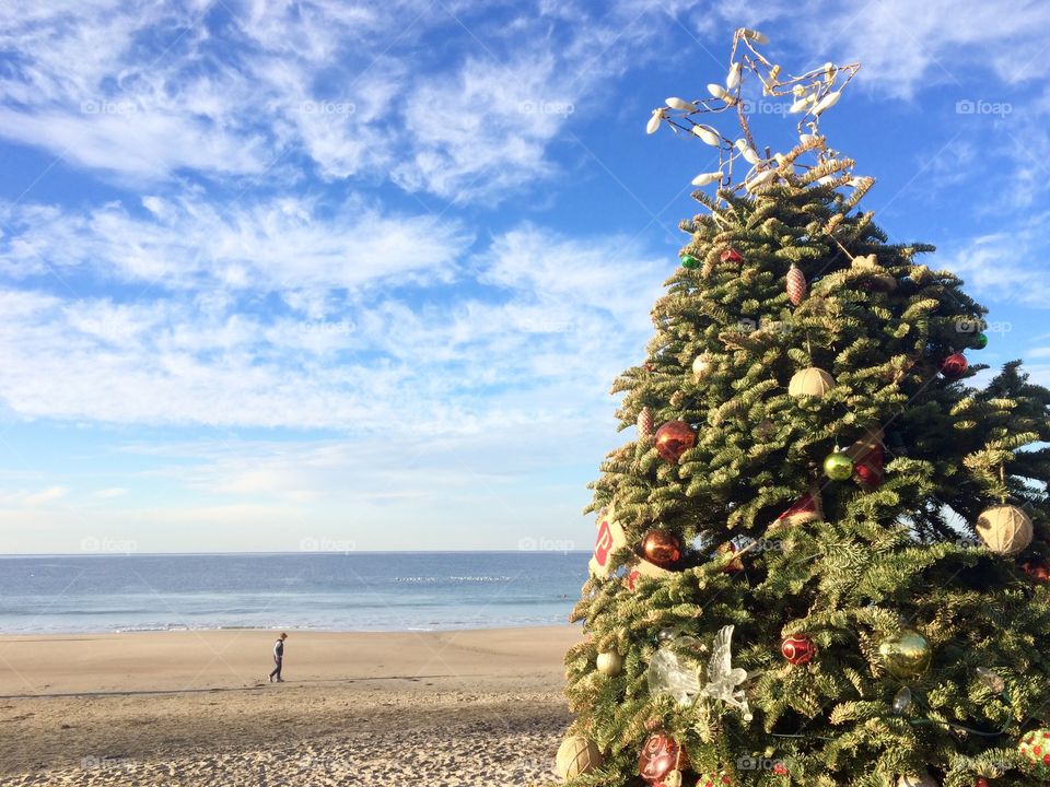 Christmas at the beach