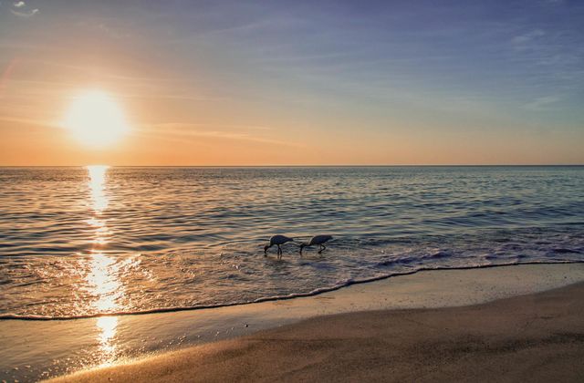 Sunrise vs Sunset