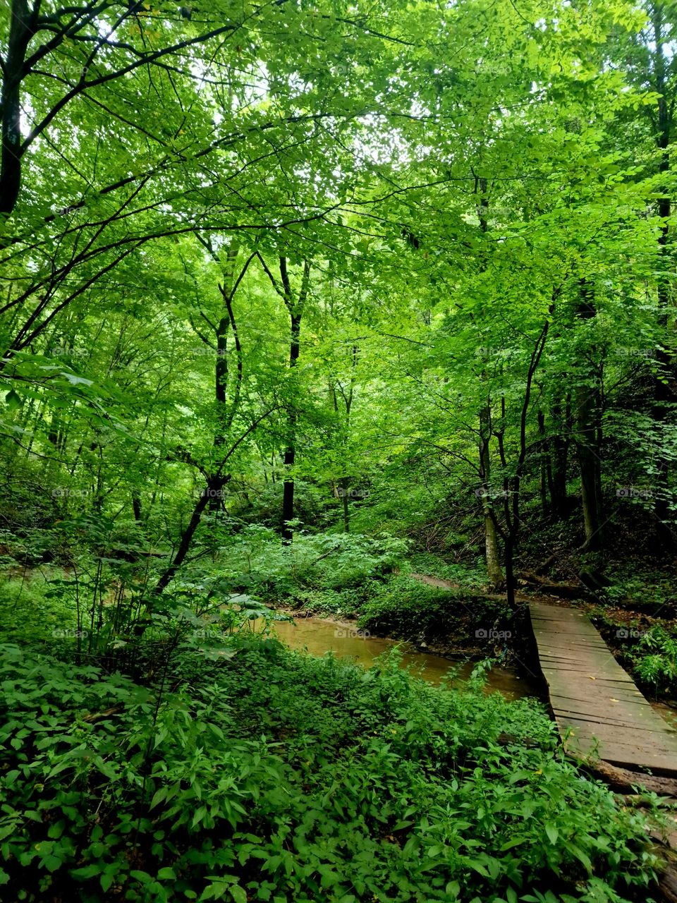 nature are beautiful