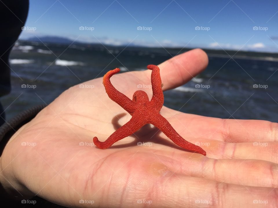 Stretching Starfish