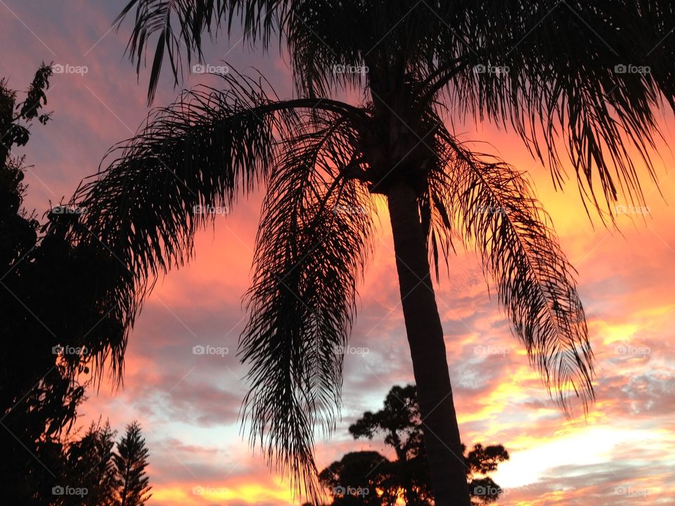 Sunset in Boynton Beach, FL 5