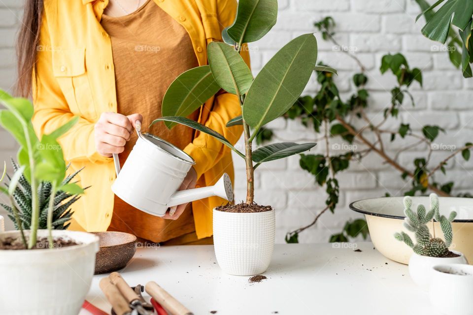 woman watering plants