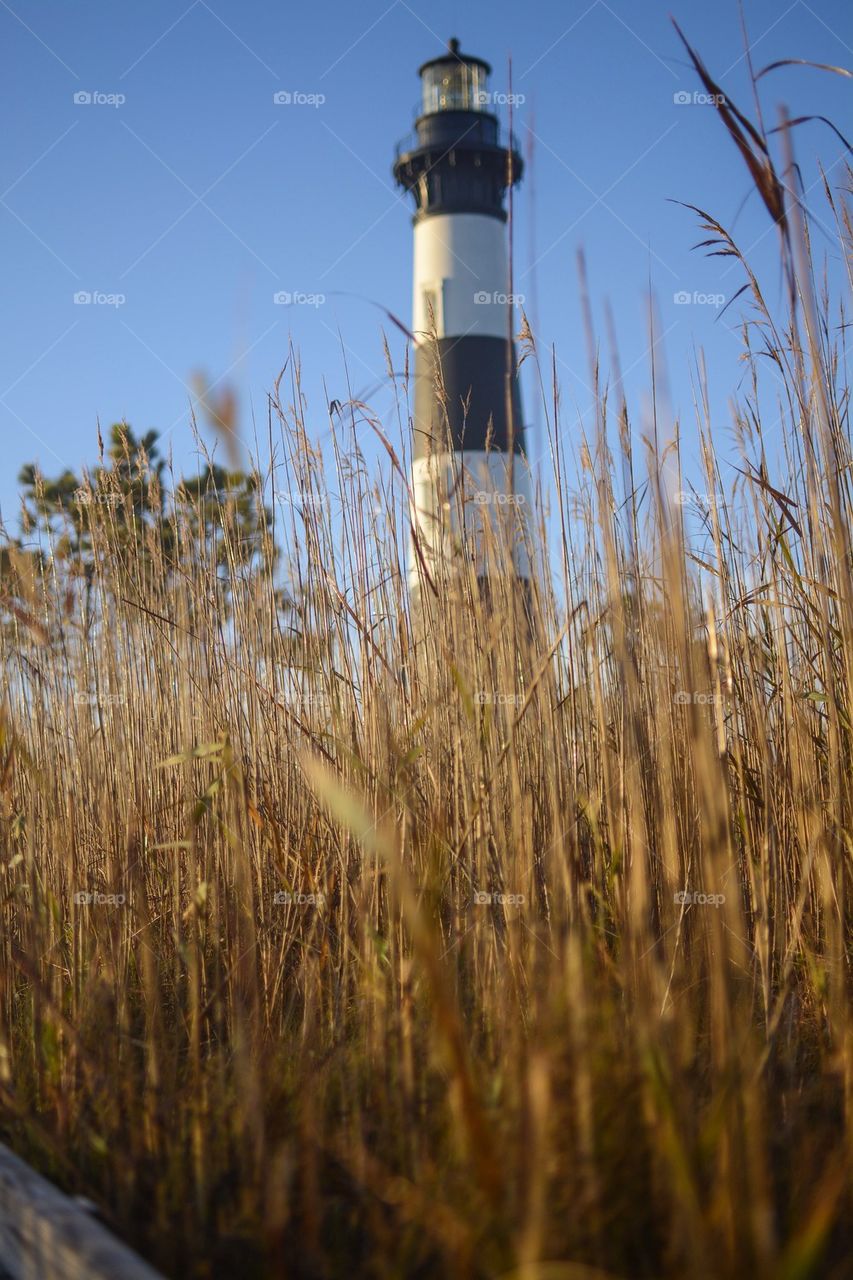 Lighthouse behind the grass 