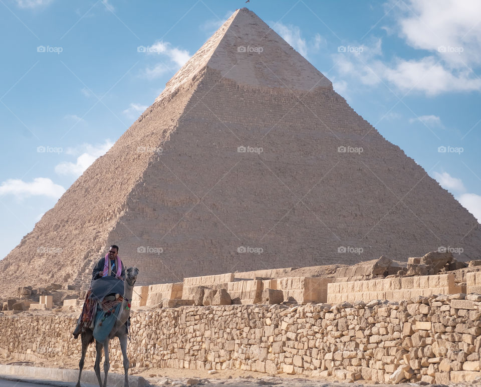 Camel and Pyramid scene
