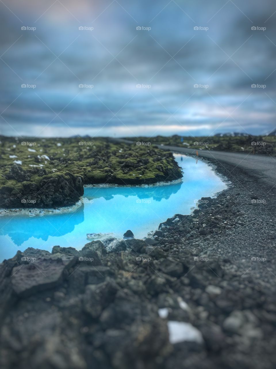 Sometimes nature’s contrast can really bring you into the moment.  Against a grey background a gash of color pops in front of you.  Craving a memory of where you’ve been.