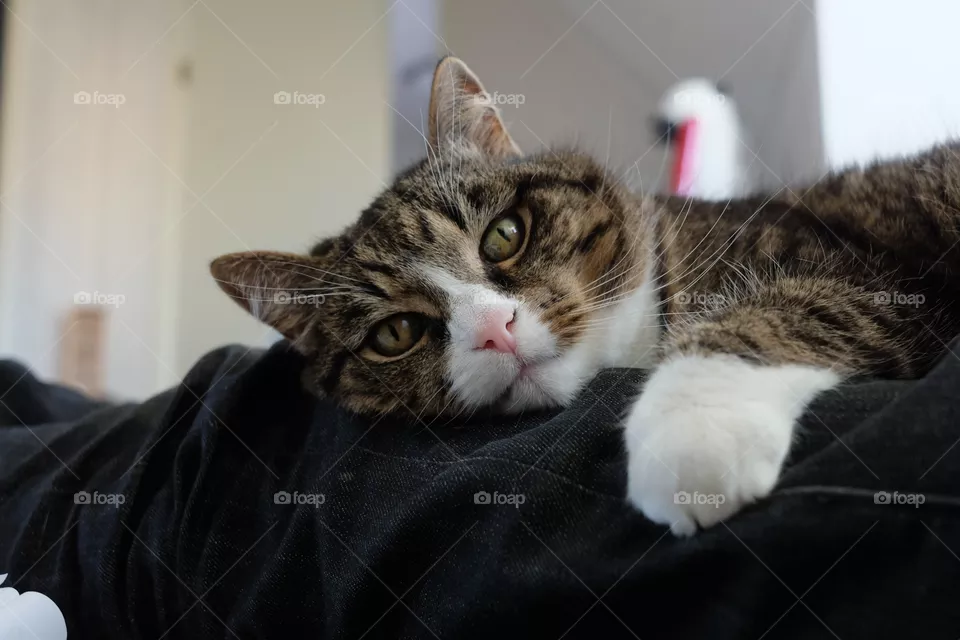 cute