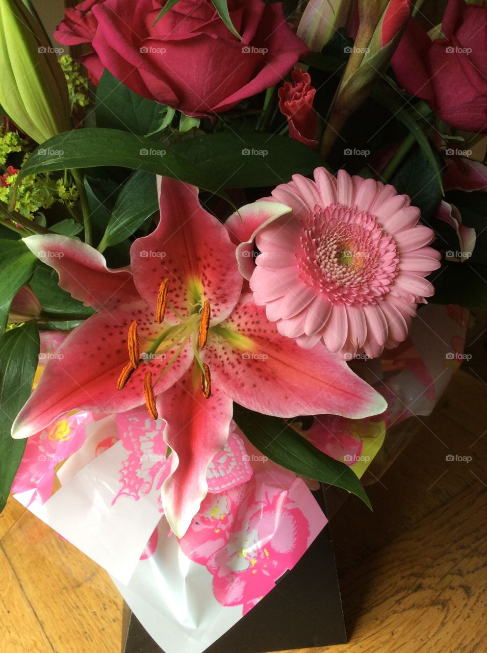 High angle view of fresh pink flowers