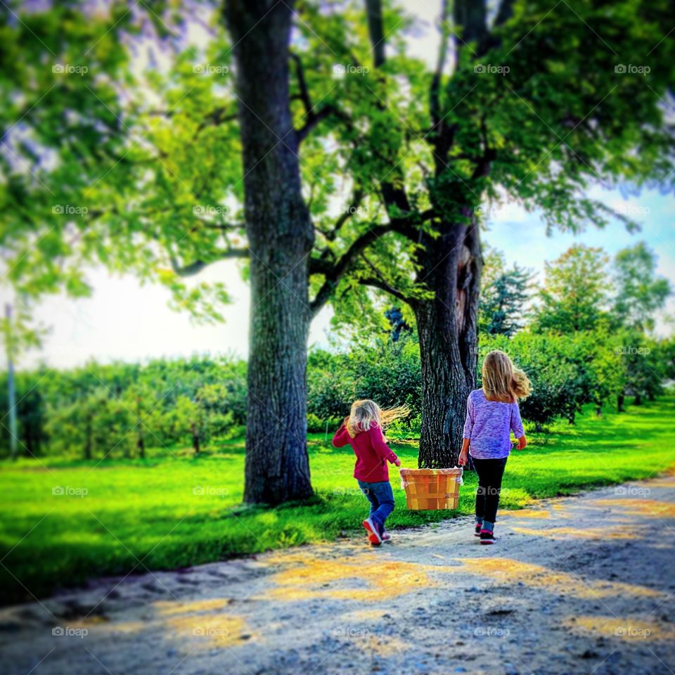 Jack and Jill went up a hill.. to catch a pail of apples..