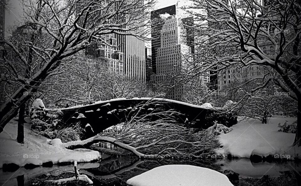 Central Park in snow