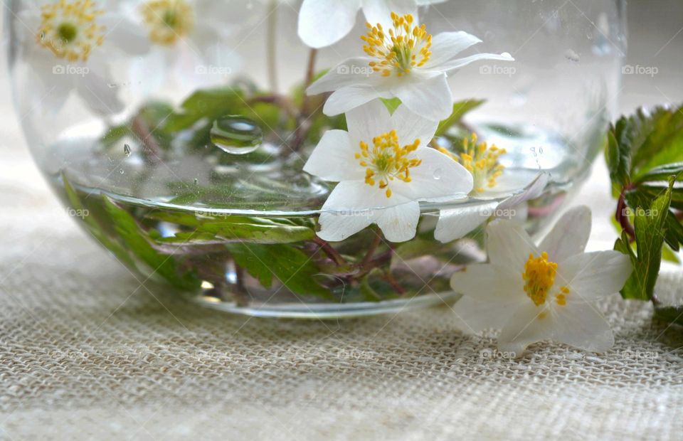 spring flowers in vase close up