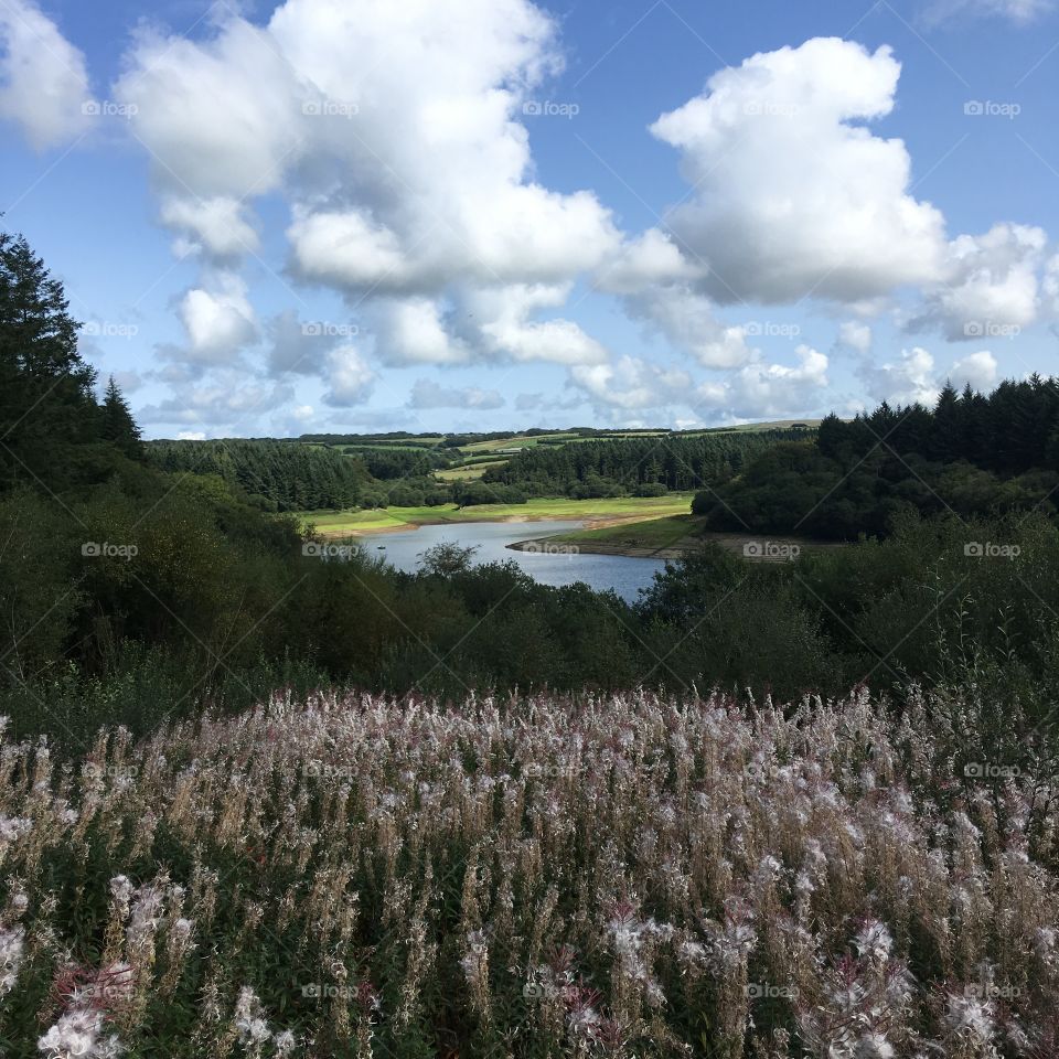 Whistland pound reservoir, Exmoor, North Devon. England. Low perspective on a summer day.