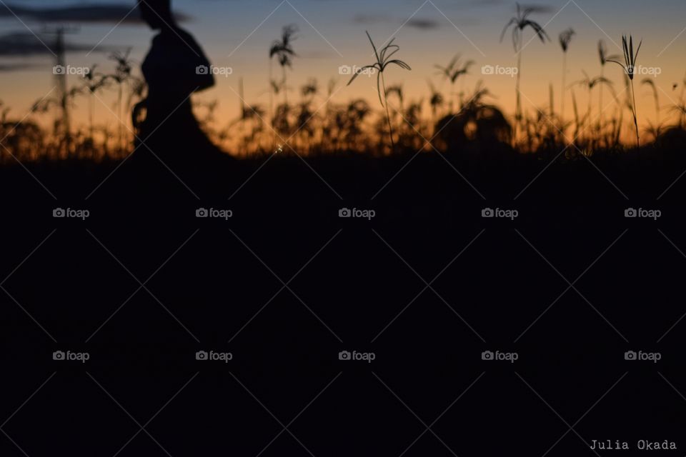 All rights reserved Julia Okada