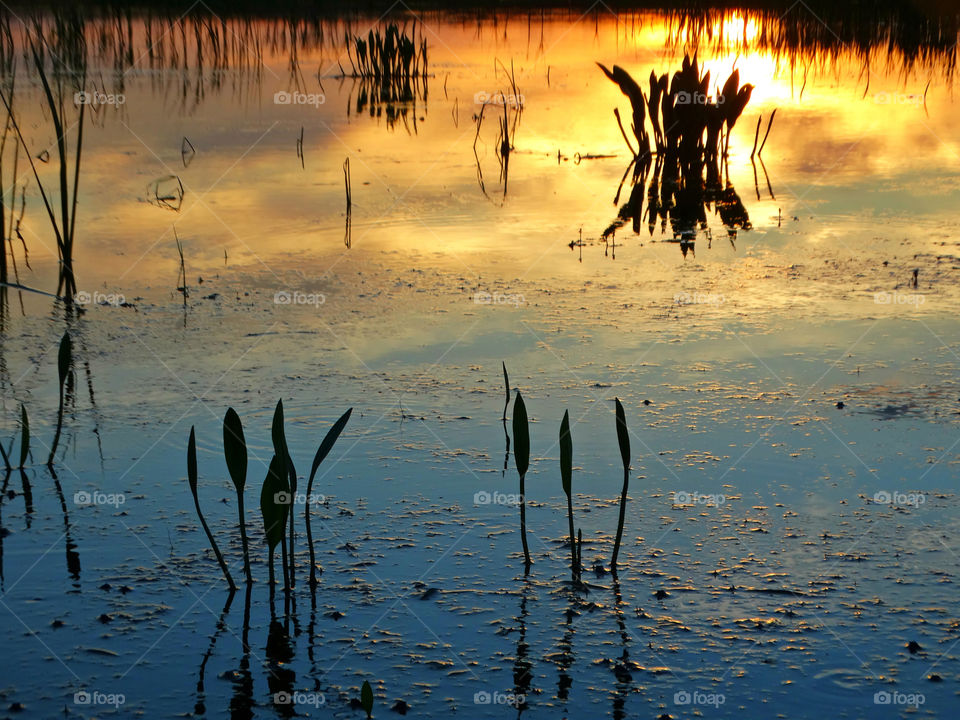 Sunset water