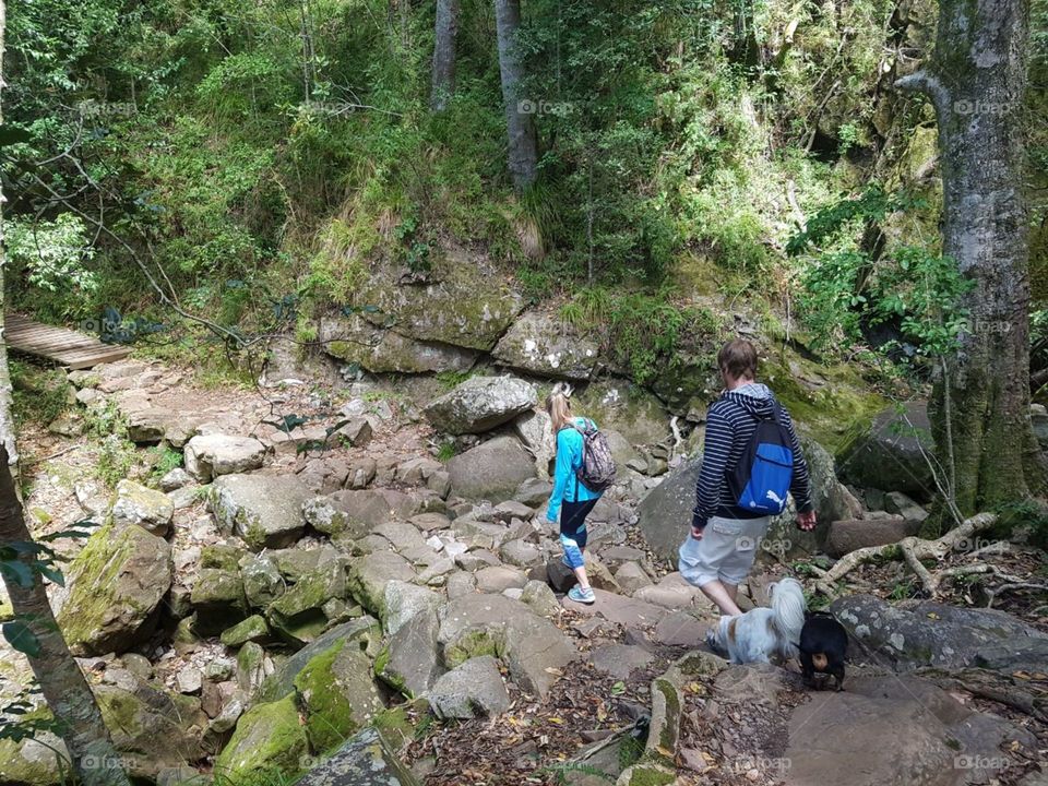 This life is yours. Take the power to choose what you want to do and do it well. Take the power to love what you want in life and love it honestly. Take the power to walk in the forest and be a part of nature. Take the power to control your own life.