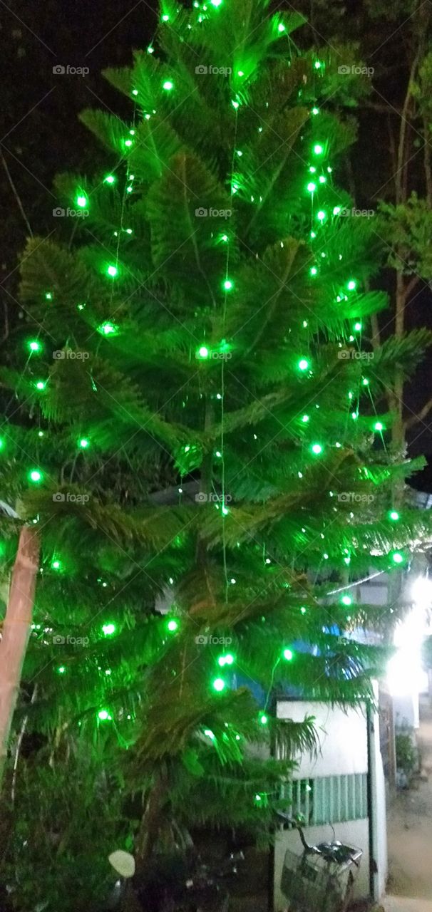 light tree