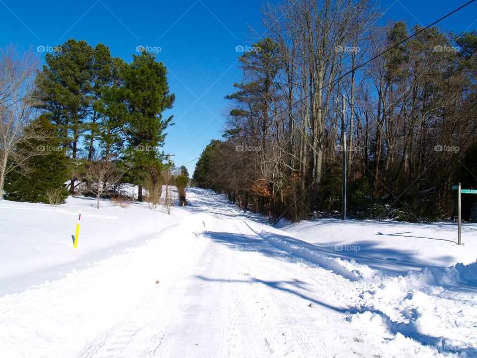 Snow, Winter, Cold, Tree, Landscape