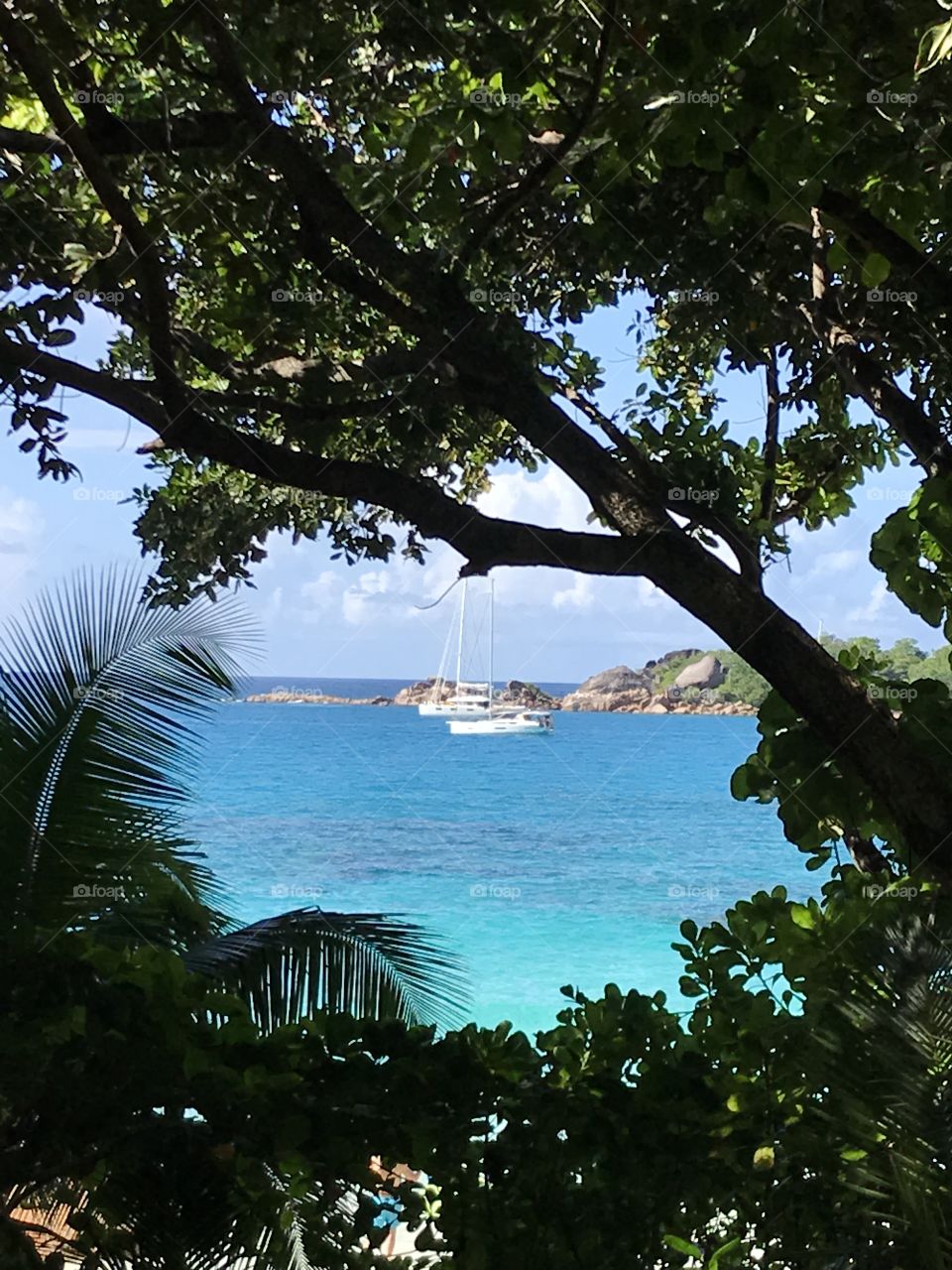 View through trees and catch a look on catamaran, lying in a bay on the Seychelles