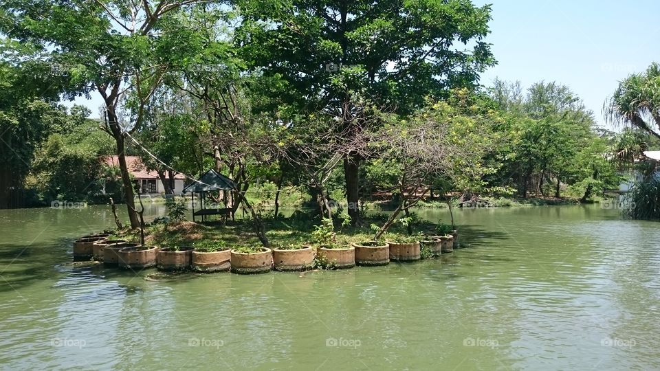 mangrove forest in surabaya