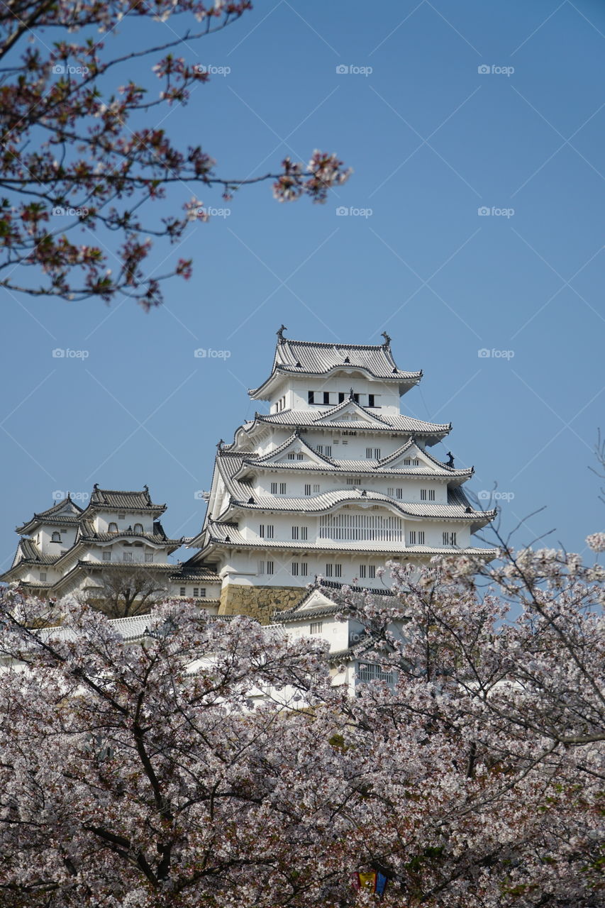 Himeji Castle