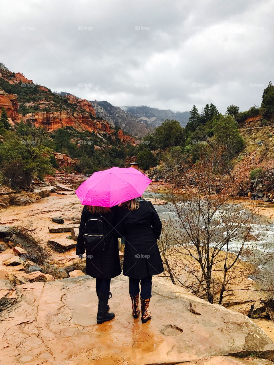 Rear view of two woman carrying pink umbrella