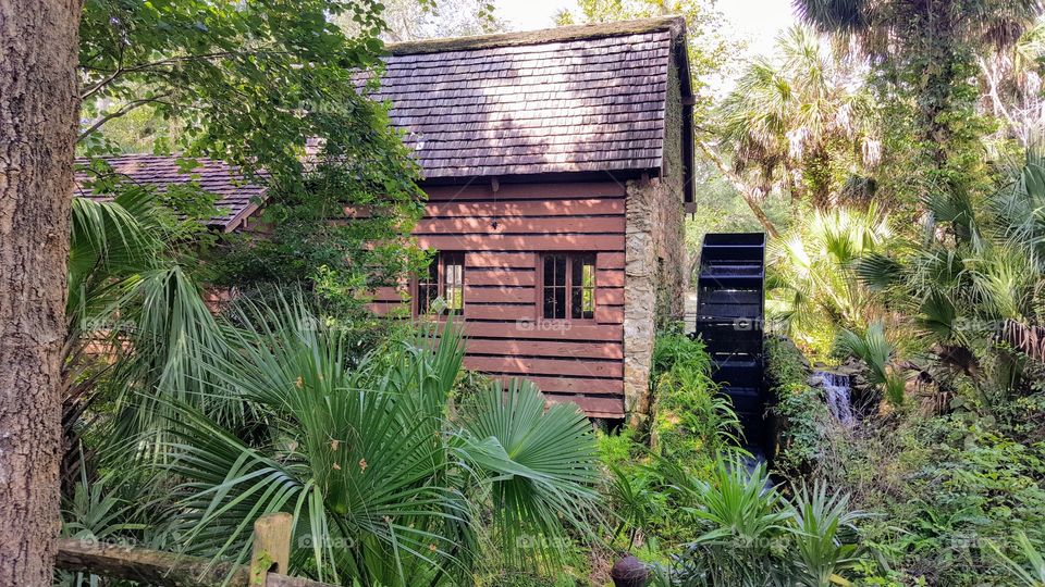 Juniper Springs mill