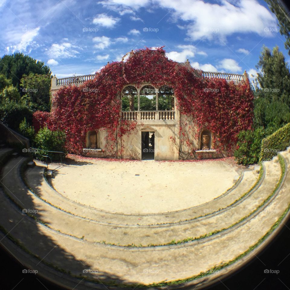 Fisheye in the gardens 