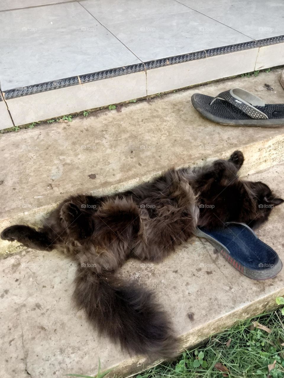 A black cat was sleeping where the sandals were placed.