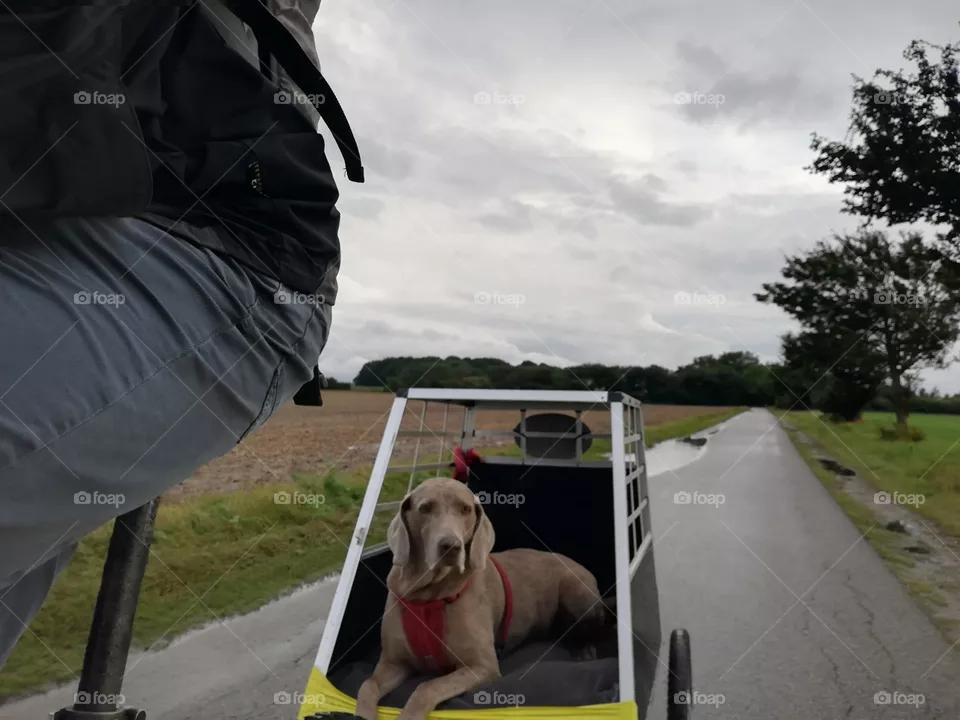 Ruby n tour